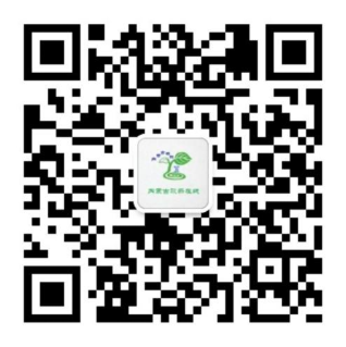 首页| CA88集团中国唯一官方网站